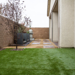 Small Back Yard