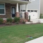 Bermuda Lawn