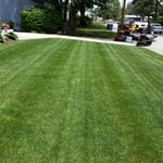 new sod installation