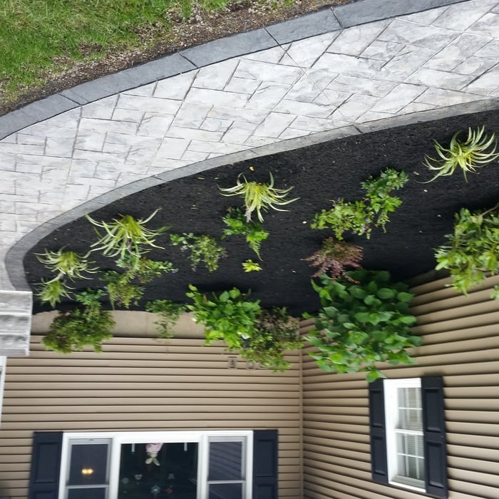 stamped walkway