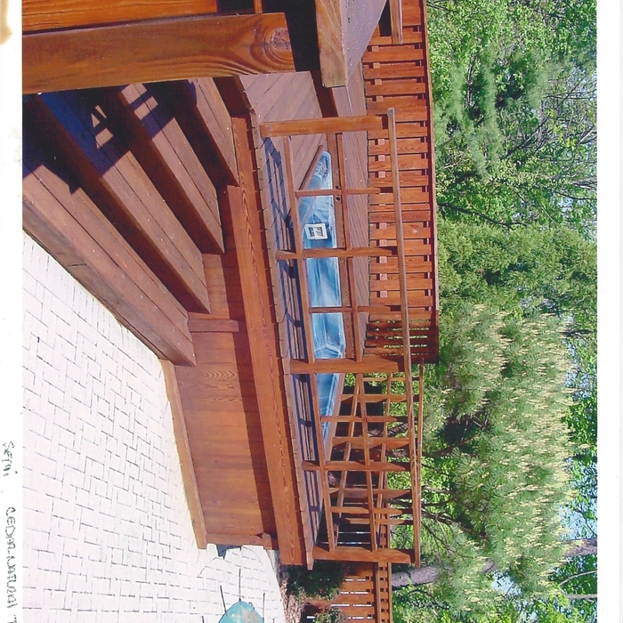 many wood staining colors