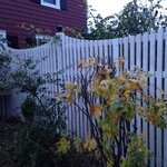 Custom fence and gate