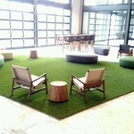 Artificial Turf- Denver