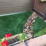 Backyard Turf