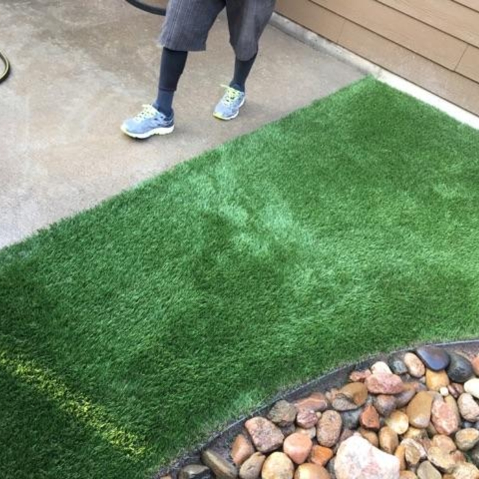 Backyard Turf