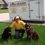 The Dogs