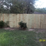 6 ft Pine wood fence