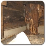 SEVERE BEAM DAMAGE