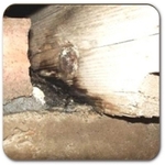 BEAMS ROTTING