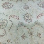 Area rug cleaning