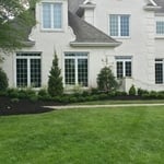 Planting and Mulch