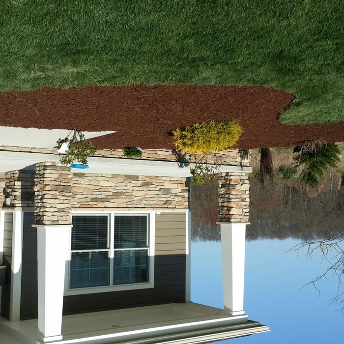 After Planting and Mulch
