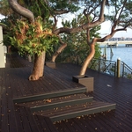 South Tropical Trail