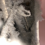 Dryer Vent Damage