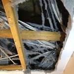 Dryer Vent Damage