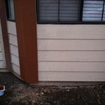 exterior wall repair
