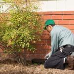 Rodent Abatement Program
