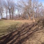 Brush clearing