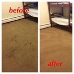 Kids bedroom carpet cleaning
