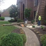 Tree Removal