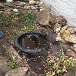 Before Waterfall Maintenance