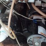 Pumps To Fit Any Application