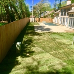 Sod and fence