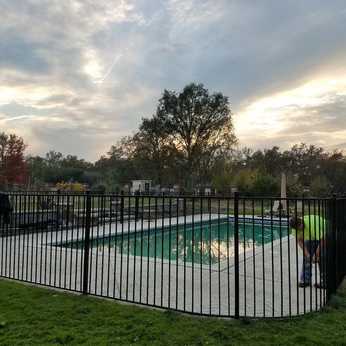 Iron Pool Fence