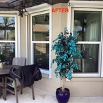 Lanai After