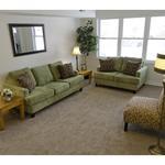carpet,paint,drywall work,windows