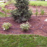 Drip Line