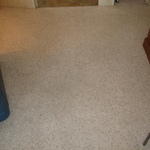 After carpet cleaning.