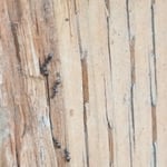 Ants Exterminators