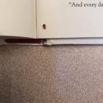 Bed bugs Control service