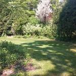 back yard