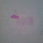 Untitled Gallery 2