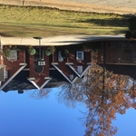 Douglasville Tree Removal