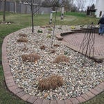Zaragoza Lawncare