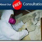 Free Consultations !!!!