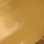 dirt