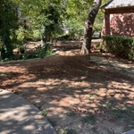 Before Seeding
