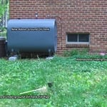 Underground Tank Removed