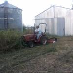 tractor & brush-hog