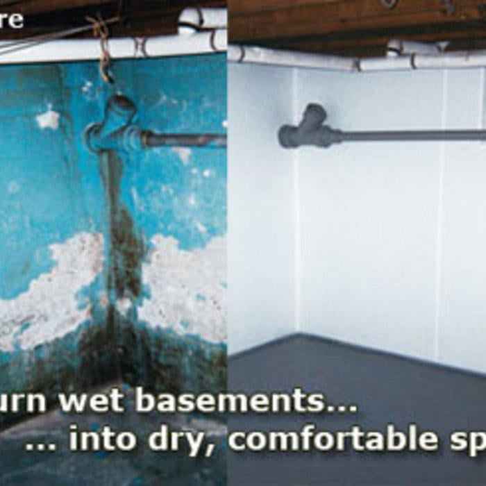 Wet, Mold Basement