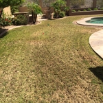 Core Aeration