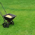 Lawn Fertilization
