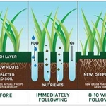 Lawn Core Aeration