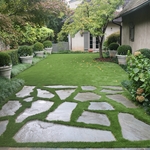 Synthetic Grass Backyard