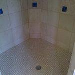 Our Work
