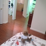 flooring installation